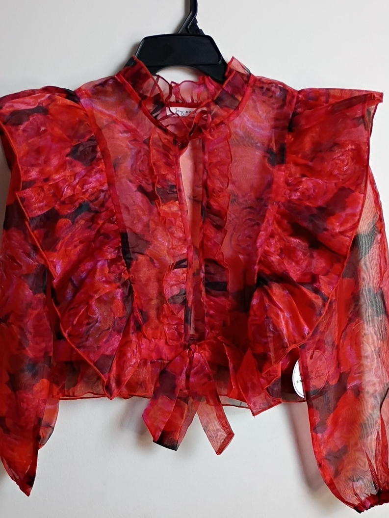 Red Floral Sheer Ruffle Tie-Neck Blouse